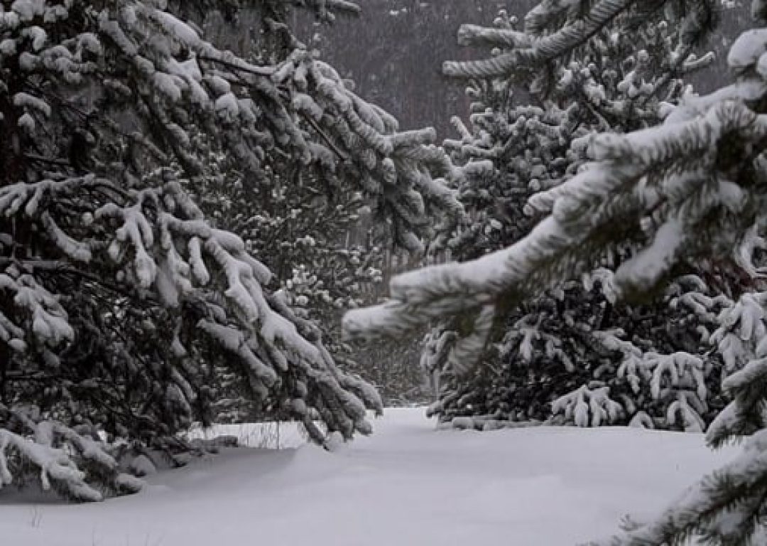 142579-780232342_tiny