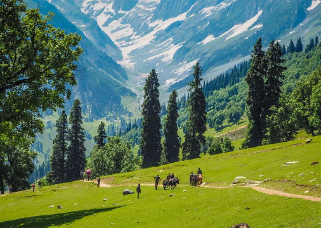 360_F_173423707_mA6K9osABnv53AIP4yJoJnbSVscWFAXs