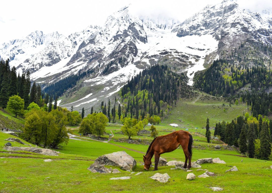 photo-1598091383021-15ddea10925d